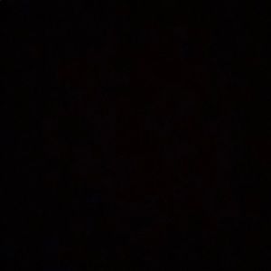 Meet your Posher, Sofia